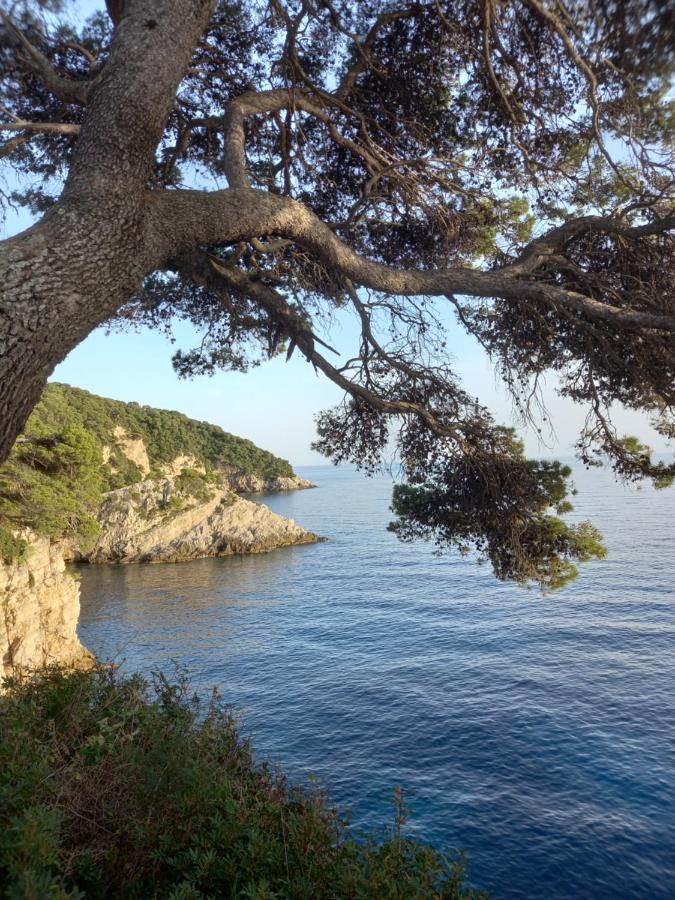 Villa Sea Dream Kolocep Gornje Celo Exterior foto