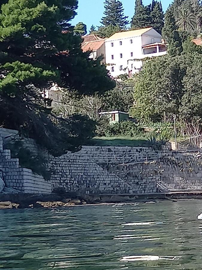 Villa Sea Dream Kolocep Gornje Celo Exterior foto